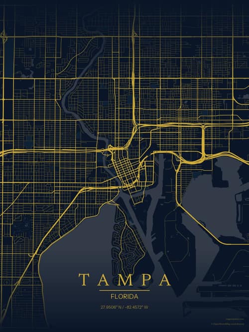 Tampa map art print in Brass Astrolabe — minimalist city map poster