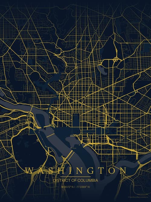 Washington map art print in Brass Astrolabe — minimalist city map poster