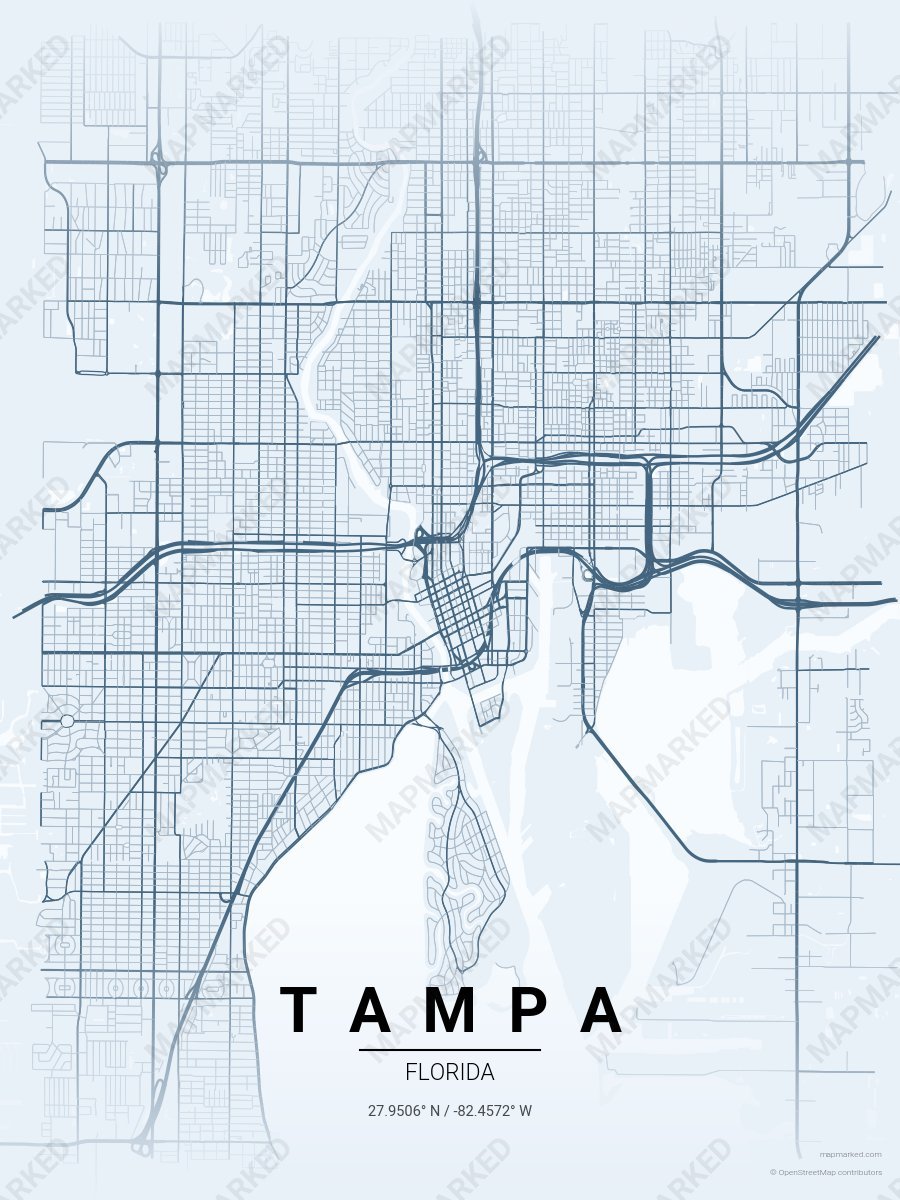 Snow Globe style sample on Tampa