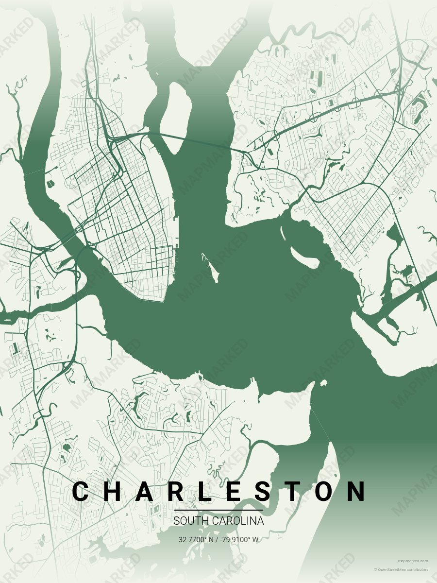 Charleston Palmetto on charleston-south-carolina