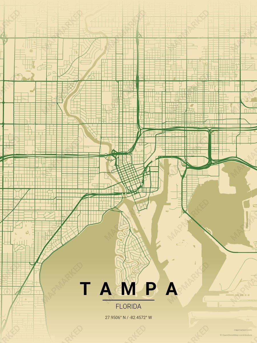 Olive Oil style sample on Tampa
