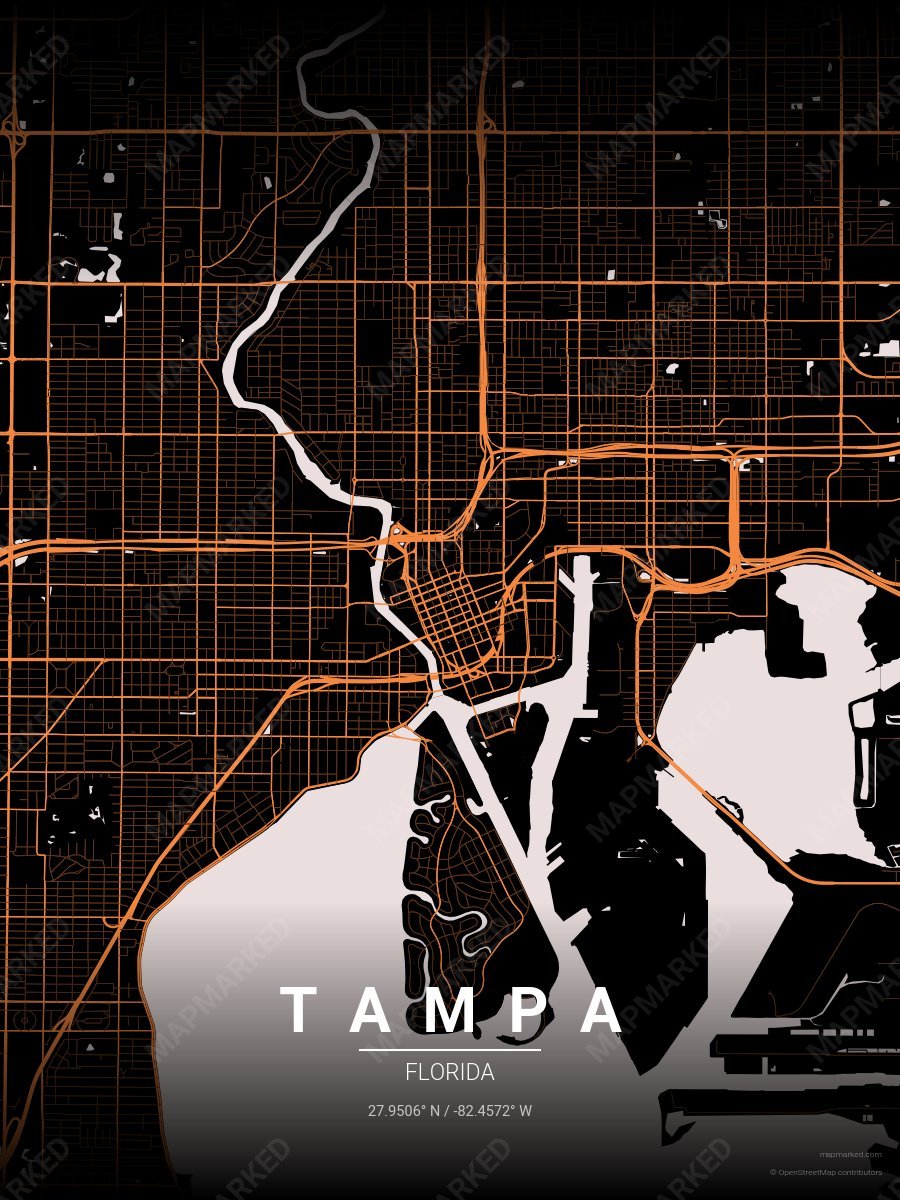 School Bus style sample on Tampa