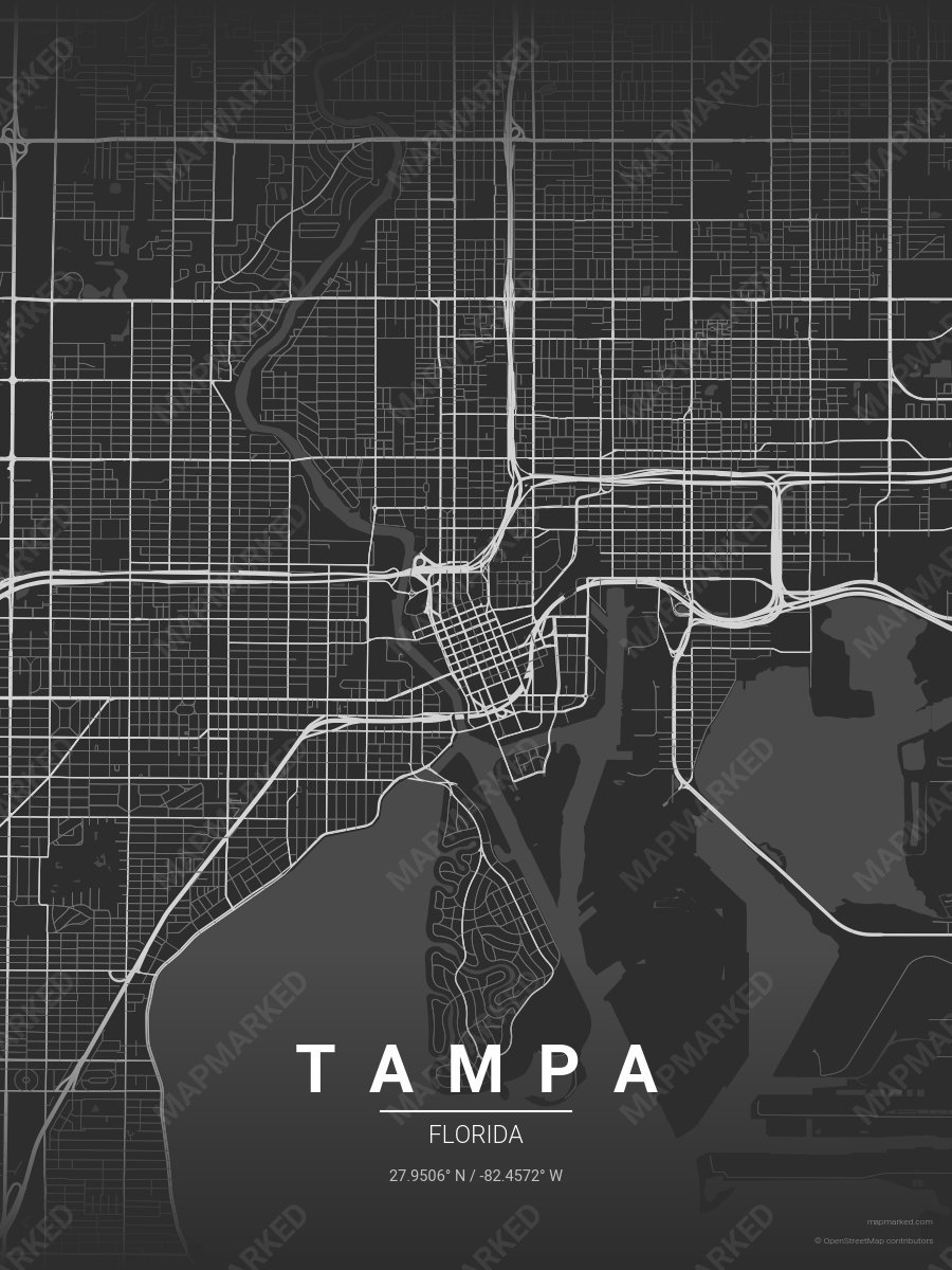 Fog Patrol style sample on Tampa