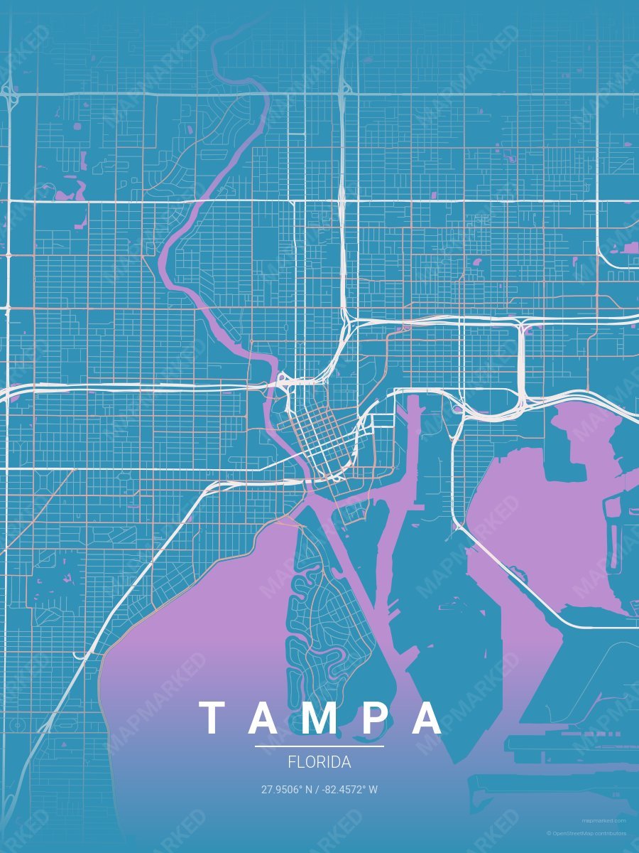 Blue Dog style sample on Tampa