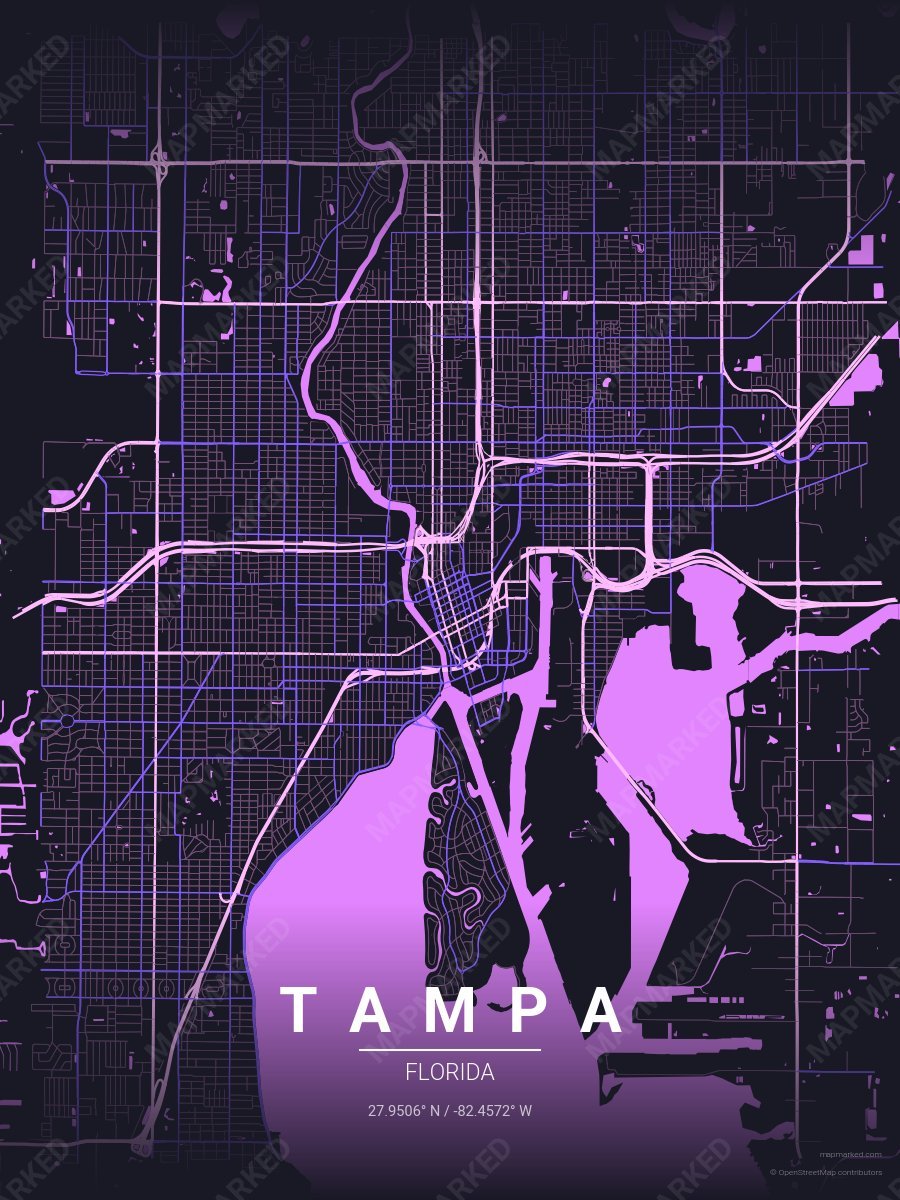 Deep Dream style sample on Tampa
