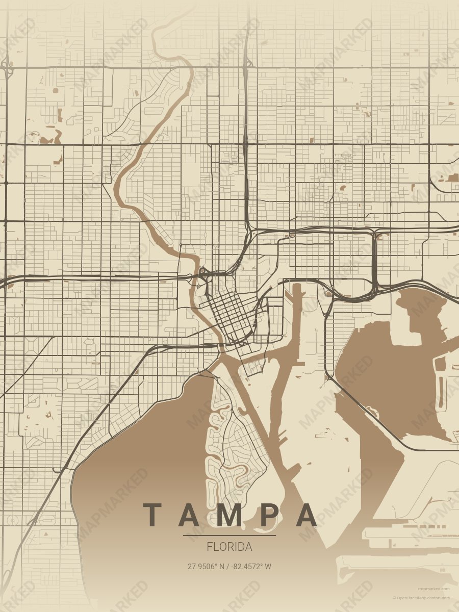 Film Grain style sample on Tampa