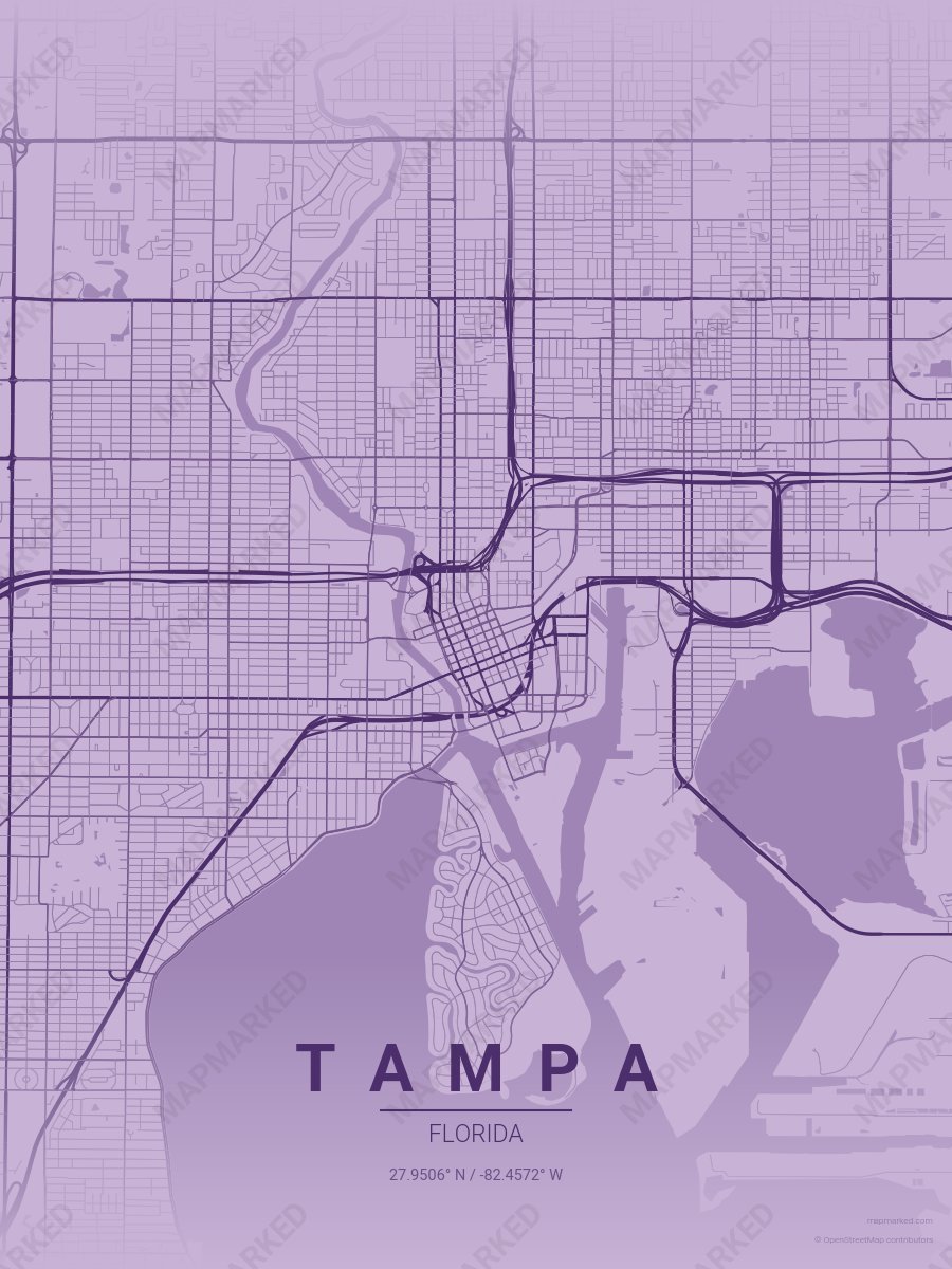 Grape Controller style sample on Tampa