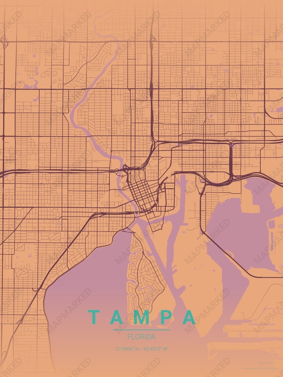 Rock Poster style sample on Tampa