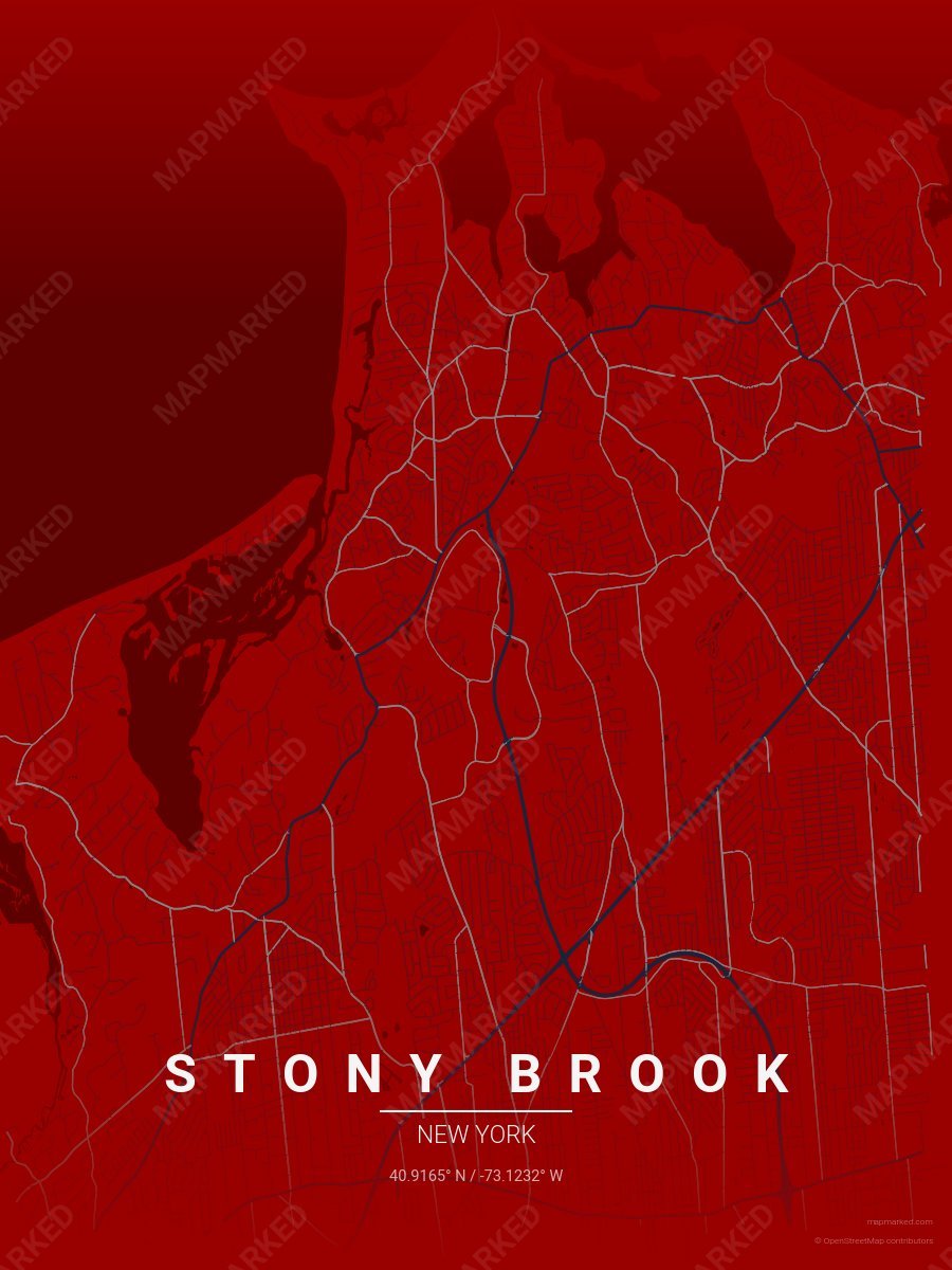 Red, Blue & Gray Contrast style sample on Stony Brook New