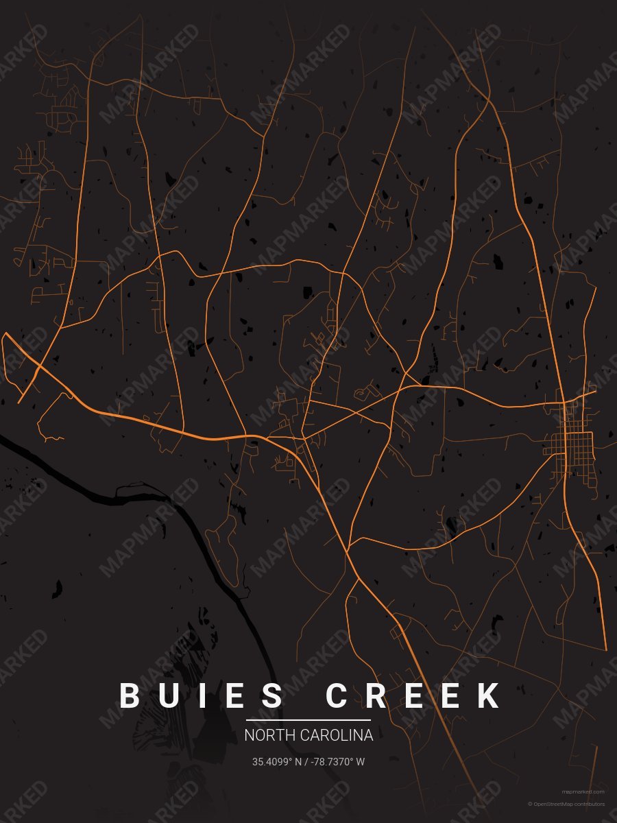 Buies Creek School Spirit 2 style sample on Tampa