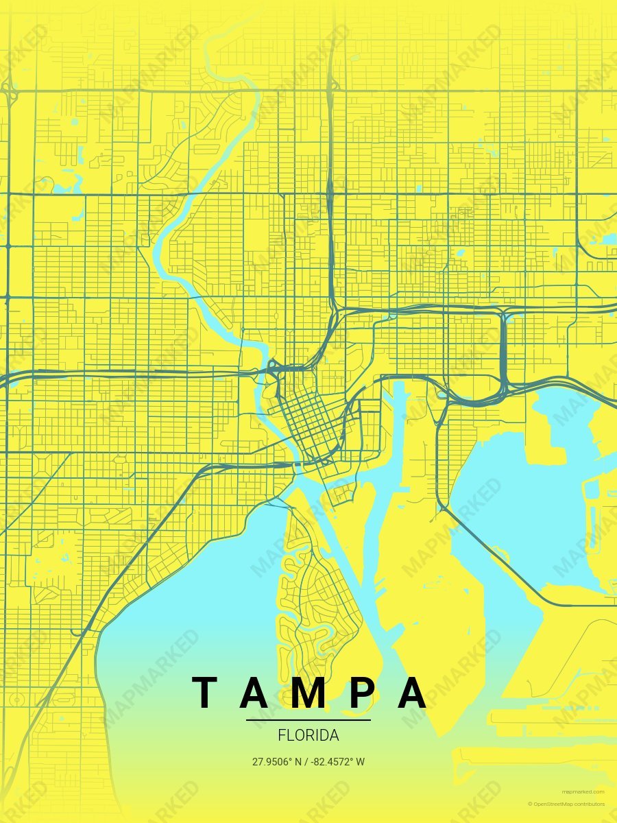 Lake Research style sample on Tampa