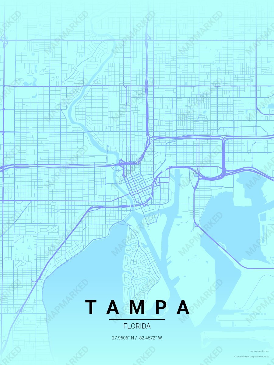 Pastel Pool style sample on Tampa