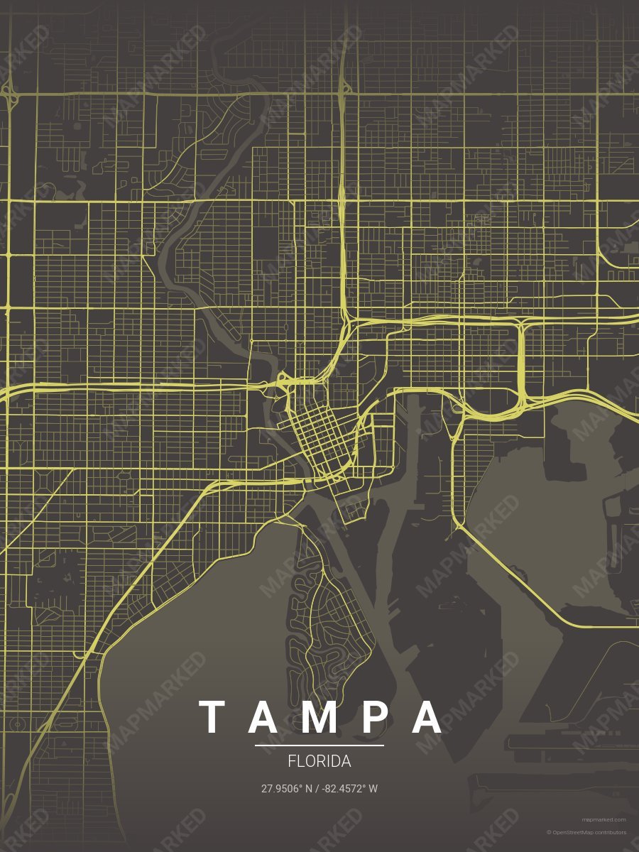 Starry Night style sample on Tampa