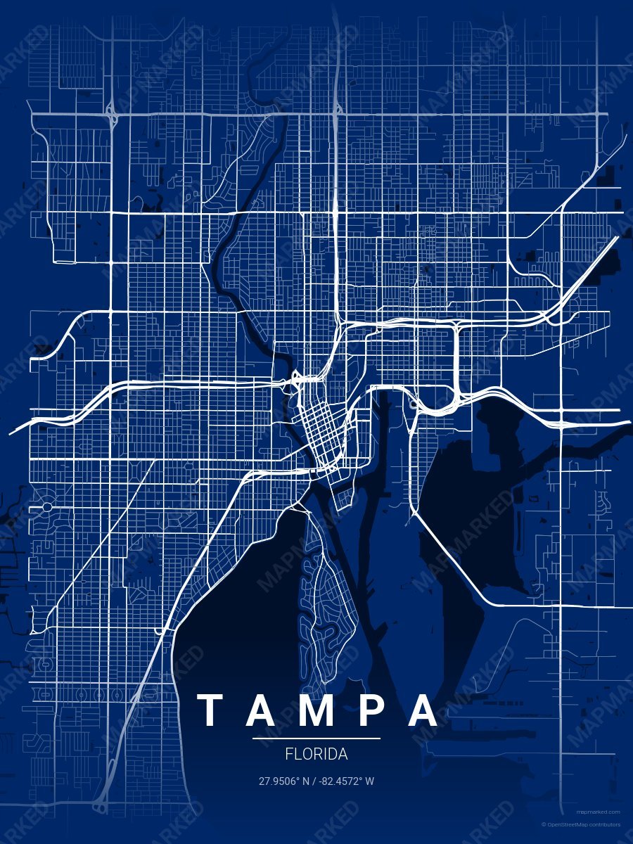 Blue & White Icon style sample on Tampa