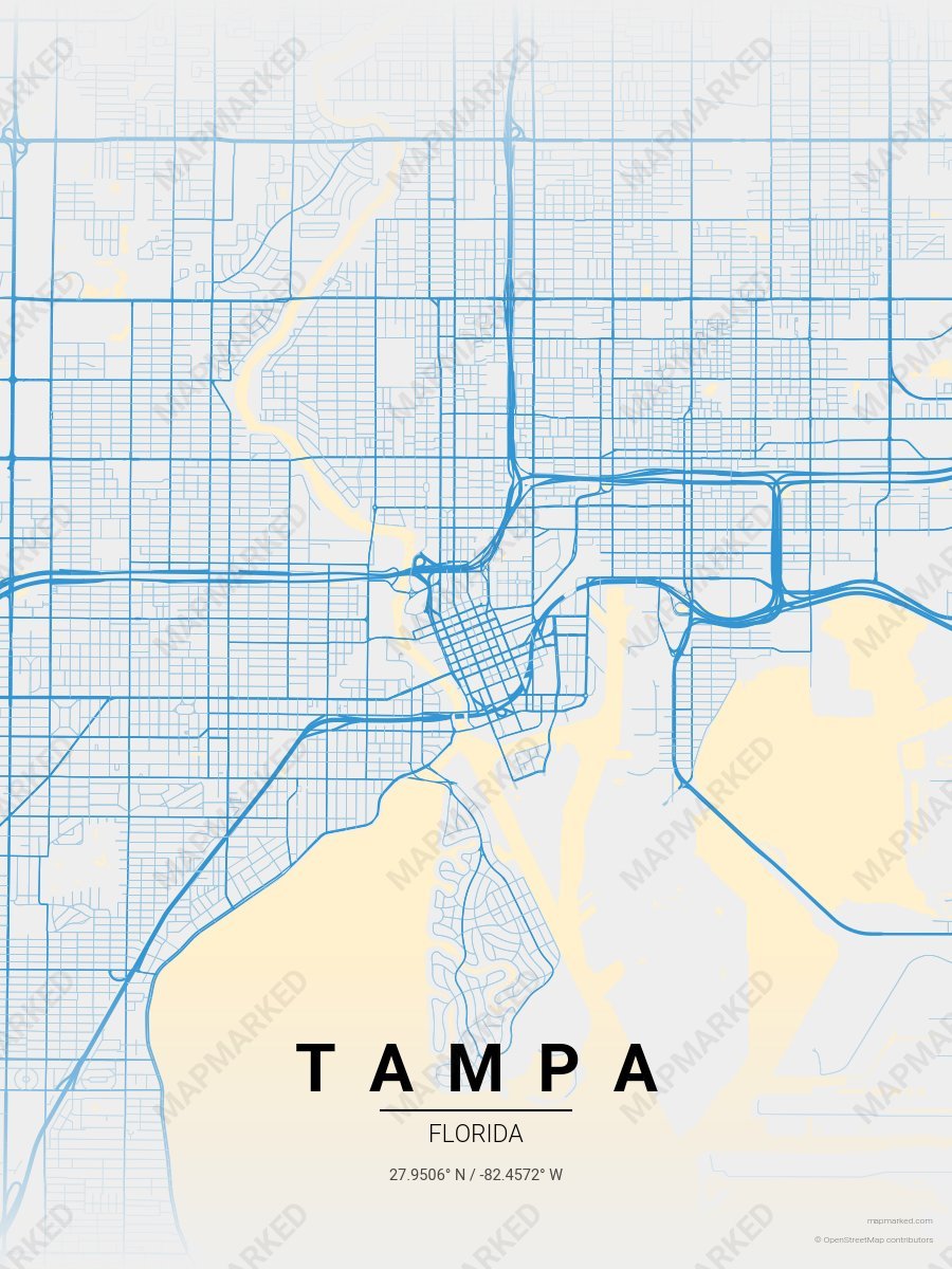 Morning Diner style sample on Tampa